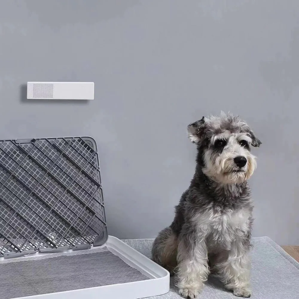 Petkit Pura Air Smart Odor Eliminator Air Purifier — Mallar, Bakı (5)