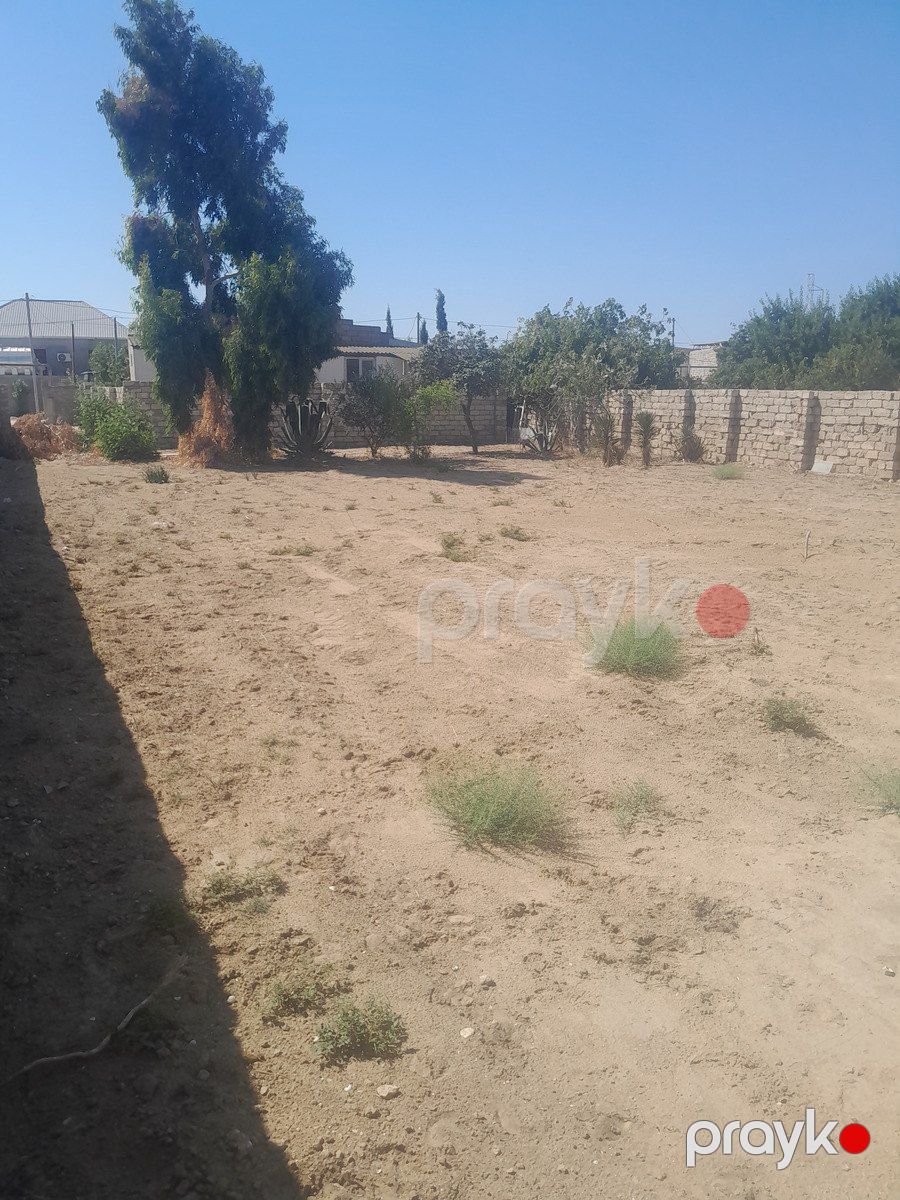Satılır torpaq 7 sot — Torpaq, Bakı (2)