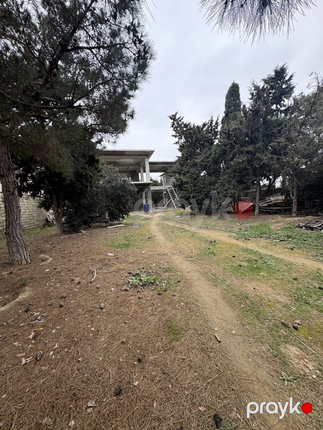 Satılır torpaq 25 sot — Torpaq, Bakı (4)