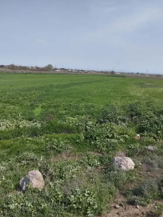 200 sot Torpaq Satılır, Samux — Samux