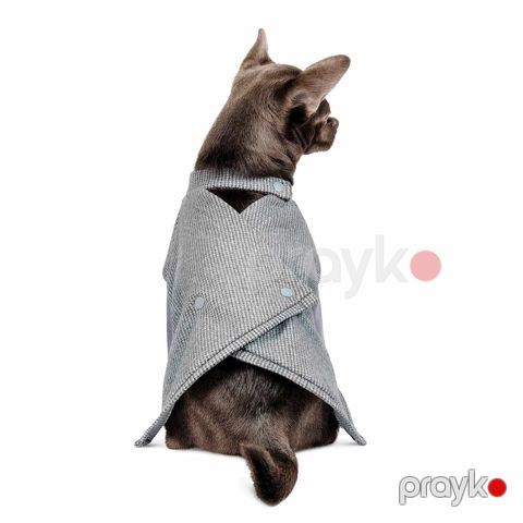 İtlər üçün jaket Pet Fashion Şattl XS — Bakı
