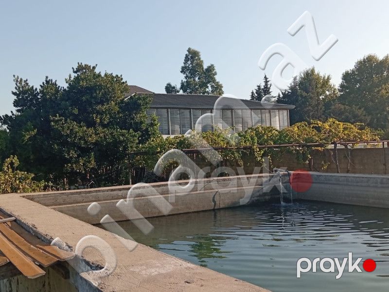 12 sot Torpaq, Satış, Bakı, Sabunçu — Torpaq, Bakı (7)