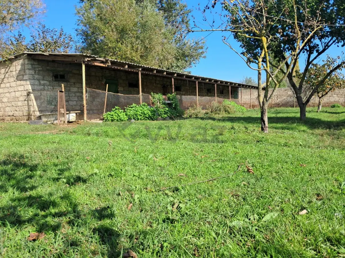 200 sot Torpaq Satılır, Xaçmaz — Torpaq, Xaçmaz (10)