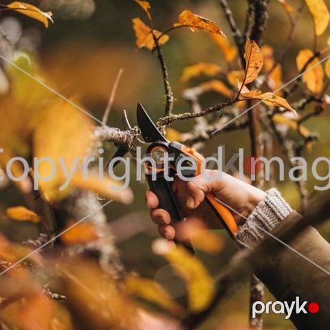 Budaq qayçısı Fiskars PowerGear L PX94 1023628 — Bakı