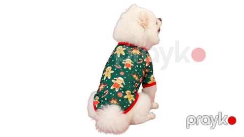 Pişik və it üçün yeni il koftası,S — Bakı