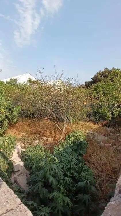 3 sot Torpaq Satılır, Bakıxanov qəs., Sabunçu, Bakı — Torpaq, Bakı (2)