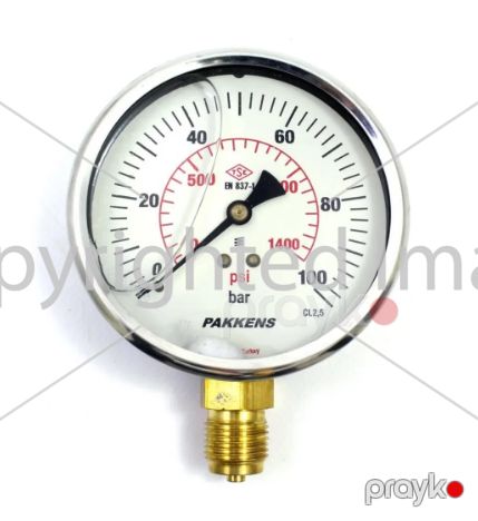 Manometr gliserin dolğulu (0-100 Bar 100 mm 1/2") Pakkens 1001001112 — Bakı