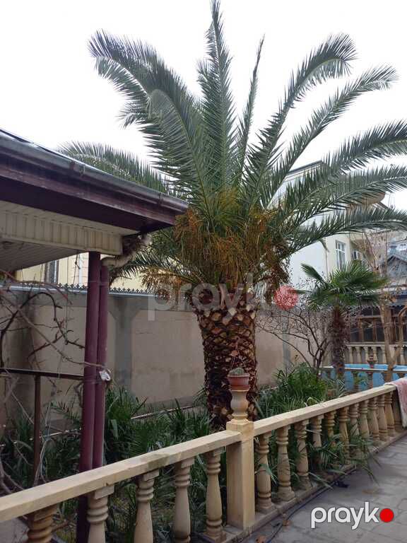 Satılır 5 otaqlı həyət evi/bağ evi 150 m² — Ev, villa, Bakı (7)