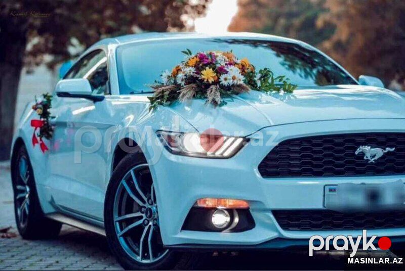 Ford Mustang coupe, 2017 il — Minik avtomobili icarəsi, Bakı (7)