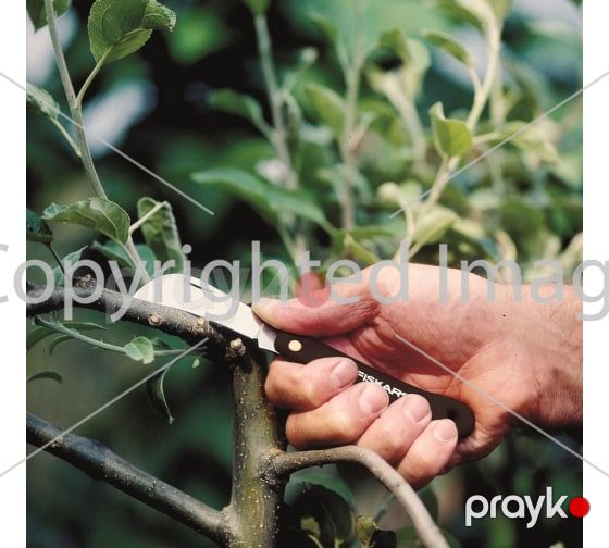 Aşılar üçün əyilmiş bıçaq Fiskars K62 1001623 — Dacha və bağ, Bakı (8)