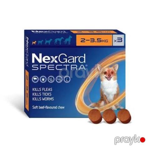 NexGard qurd dərmanı — Xırdalan