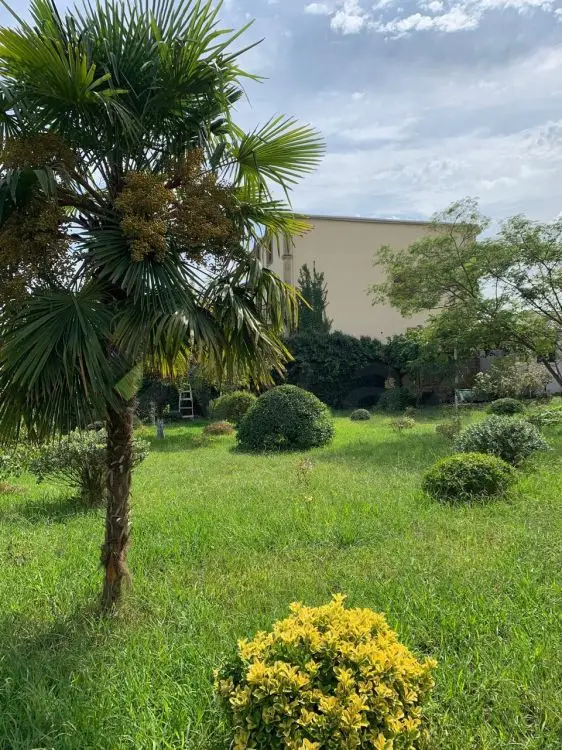 6 sot Torpaq Satılır, Bakıxanov qəs., Sabunçu, Bakı — Torpaq, Bakı (8)