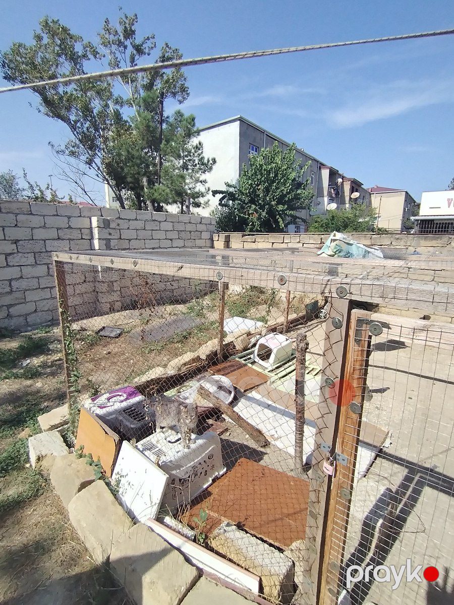 2.5 sot torpaq sahəsi, 16-cı mkr — Torpaq, Sumqayıt (6)