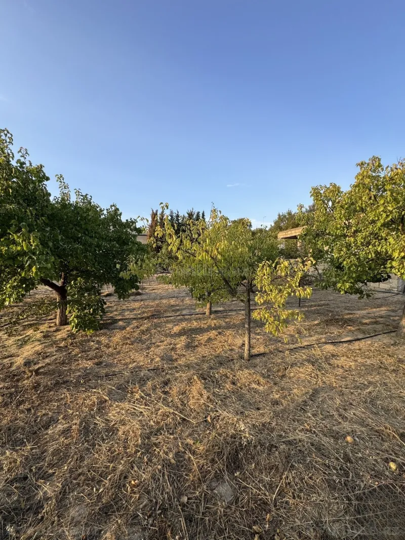Satılır Torpaq 3 sot Bakı, Abşeron r., Novxanı — Torpaq, Bakı (2)