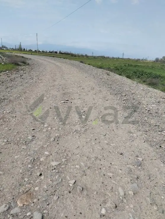 200 sot Torpaq Satılır, Samux — Torpaq, Samux (2)
