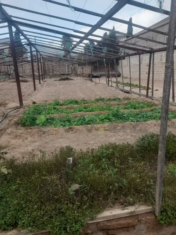 5 sot Torpaq Satılır, Buzovna, Xəzər, Bakı — Torpaq, Bakı (4)