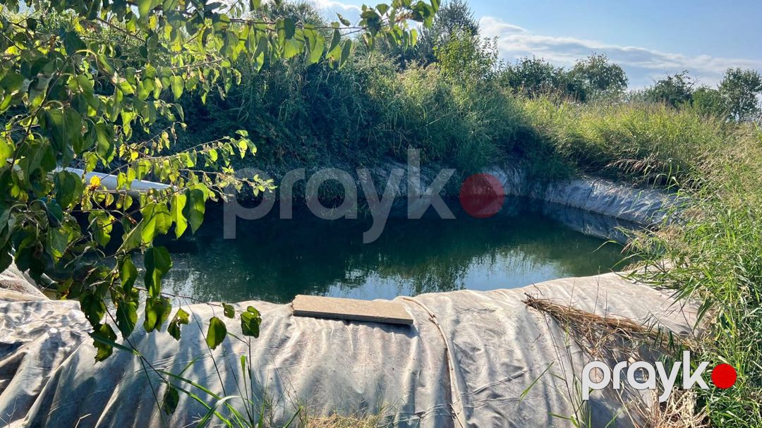 360 sot torpaq sahəsi, Quba r — Torpaq, Bakı (6)