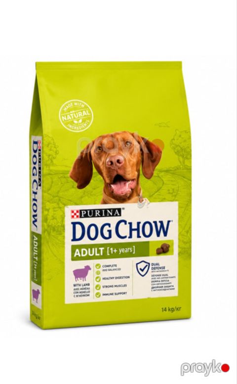 Quru yem Purina Dog chow, 14 kq, torba, quzu — Bakı