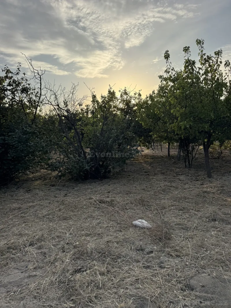 Satılır Torpaq 4 sot Bakı, Abşeron r., Novxanı — Torpaq, Bakı (2)