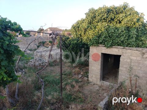 3 sot, Tikinti, Mülkiyyətçi, Kupça (Çıxarış)