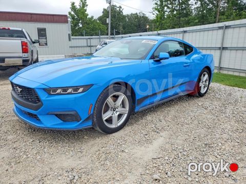 Ford Mustang, 2.3 L, 2025 il, 16 842 km