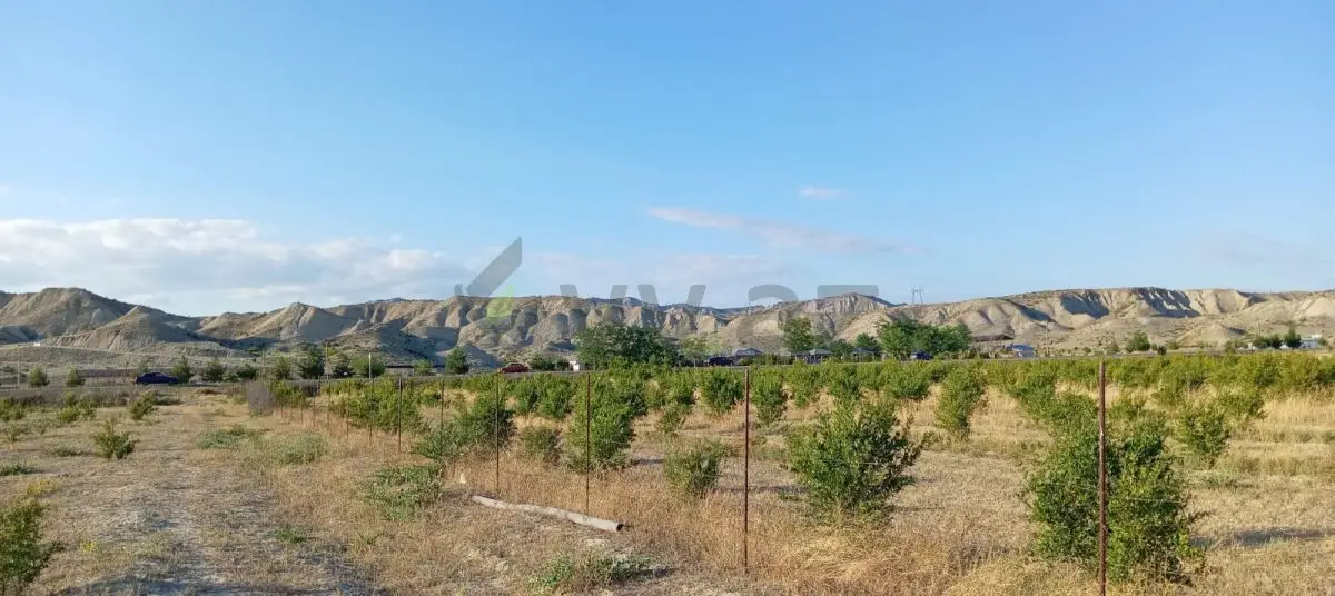 200 sot Torpaq Satılır, Göyçay — Torpaq, Göyçay (2)