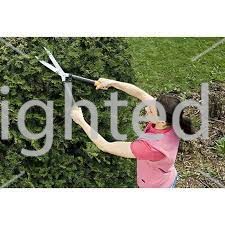 Qayçı Fiskars 1001564 — Dacha və bağ, Bakı (2)