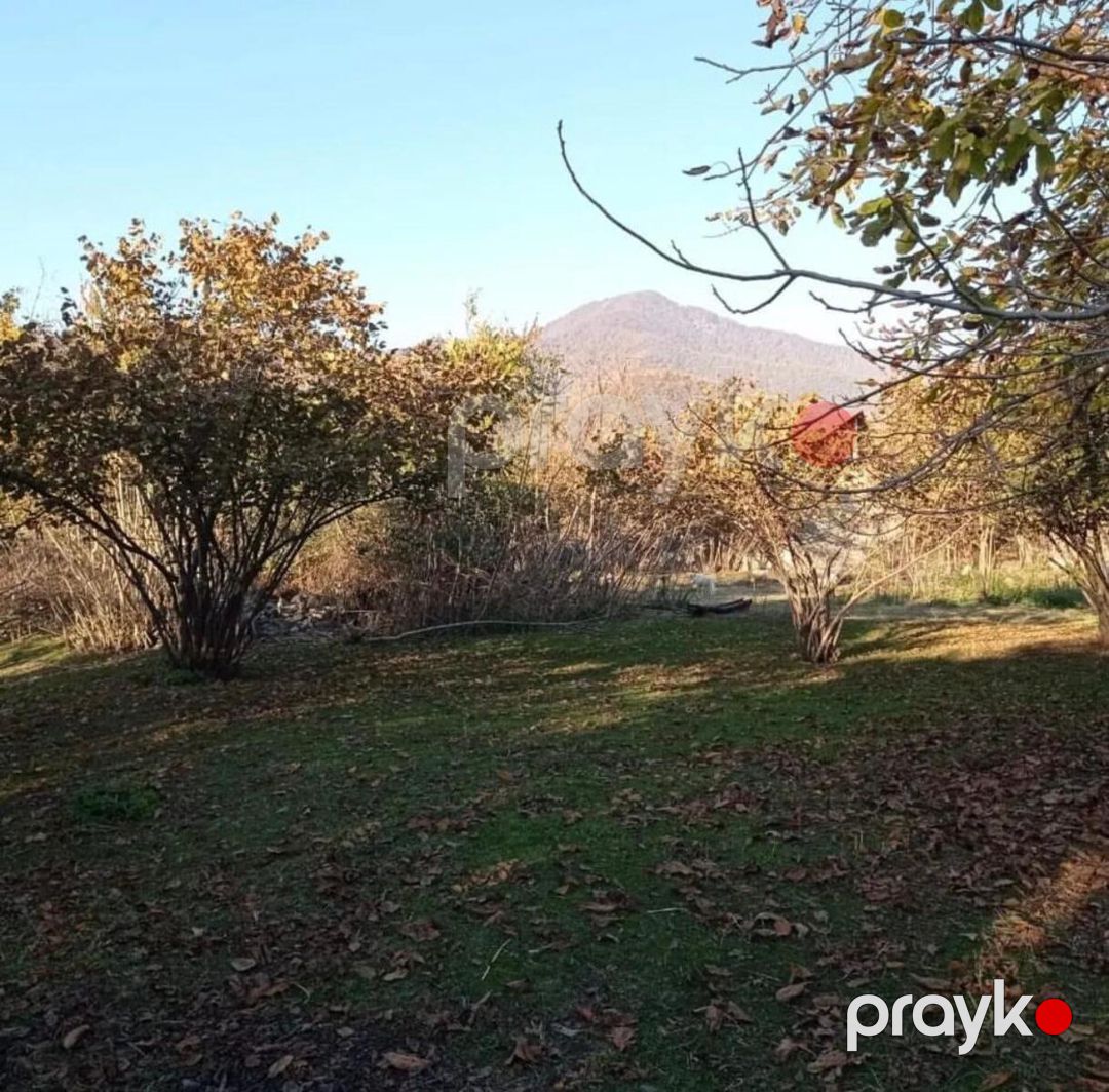 54 sot torpaq sahəsi, Zaqatala ş — Torpaq, Zaqatala (3)