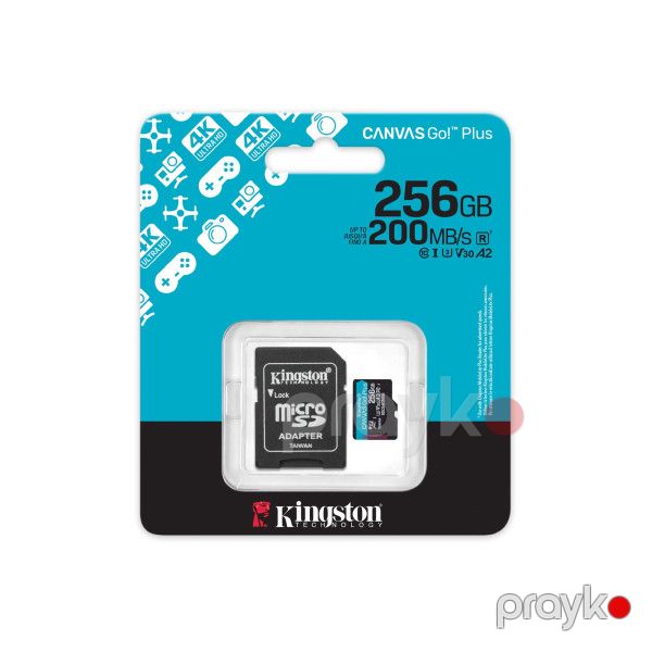 Kingston Canvas Go Plus microSDXC(SDCG4/256GB) — Periferik cihazlar, Bakı (2)