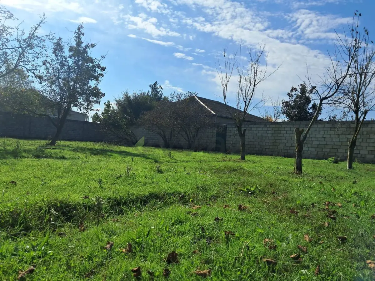 200 sot Torpaq Satılır, Xaçmaz — Torpaq, Xaçmaz (11)