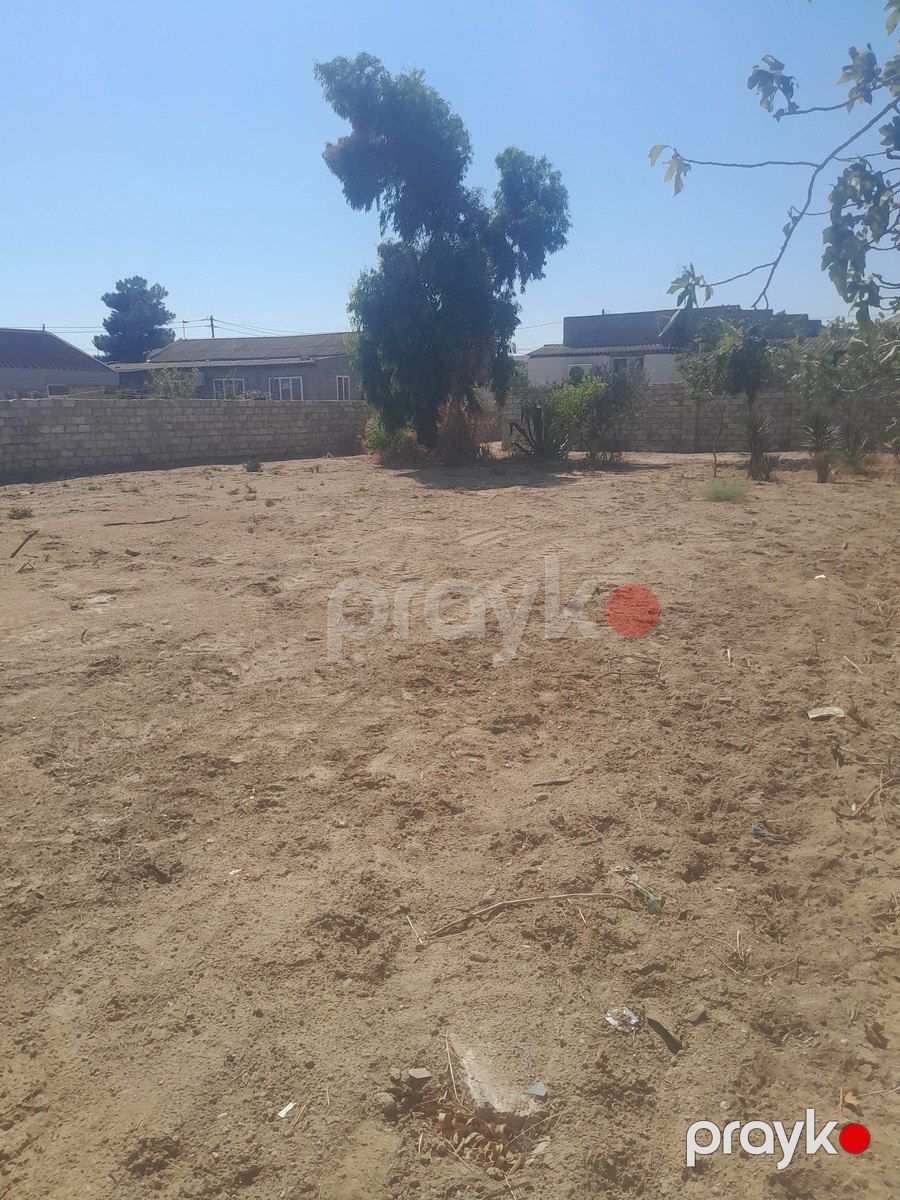 Satılır torpaq 7 sot — Torpaq, Bakı (4)