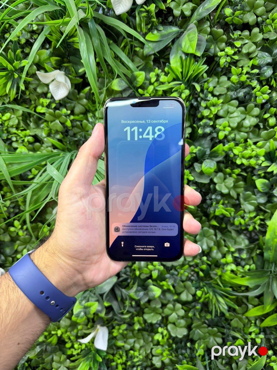 Apple iPhone 13 Pro Max Alpine Green 128GB/6GB — Smartfonlar, Bakı (6)