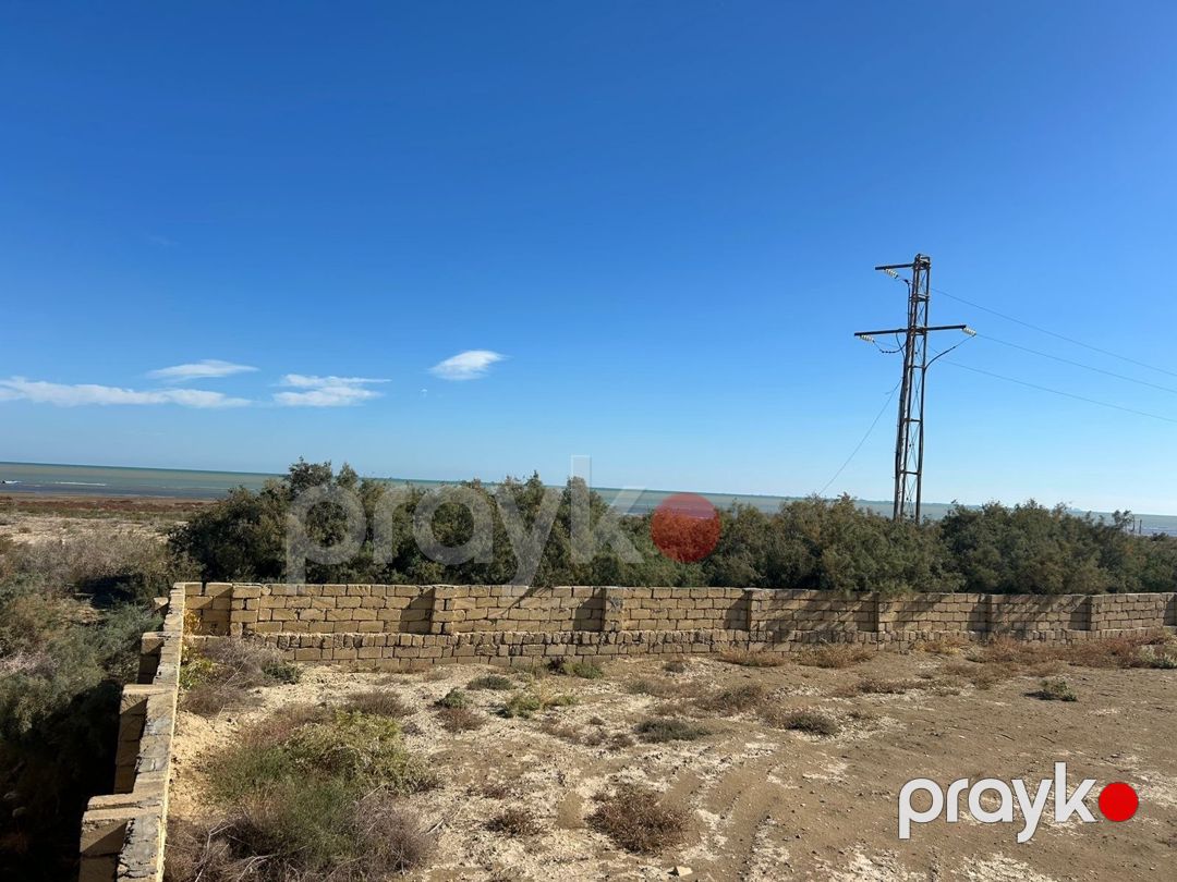 Satılır torpaq 24 sot — Torpaq, Bakı (8)
