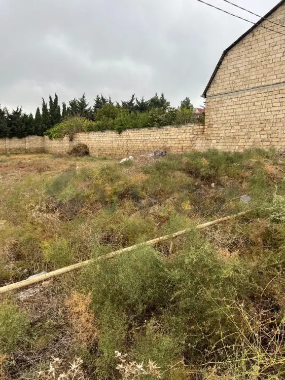 8 sot Torpaq Satılır, Novxanı, Abşeron