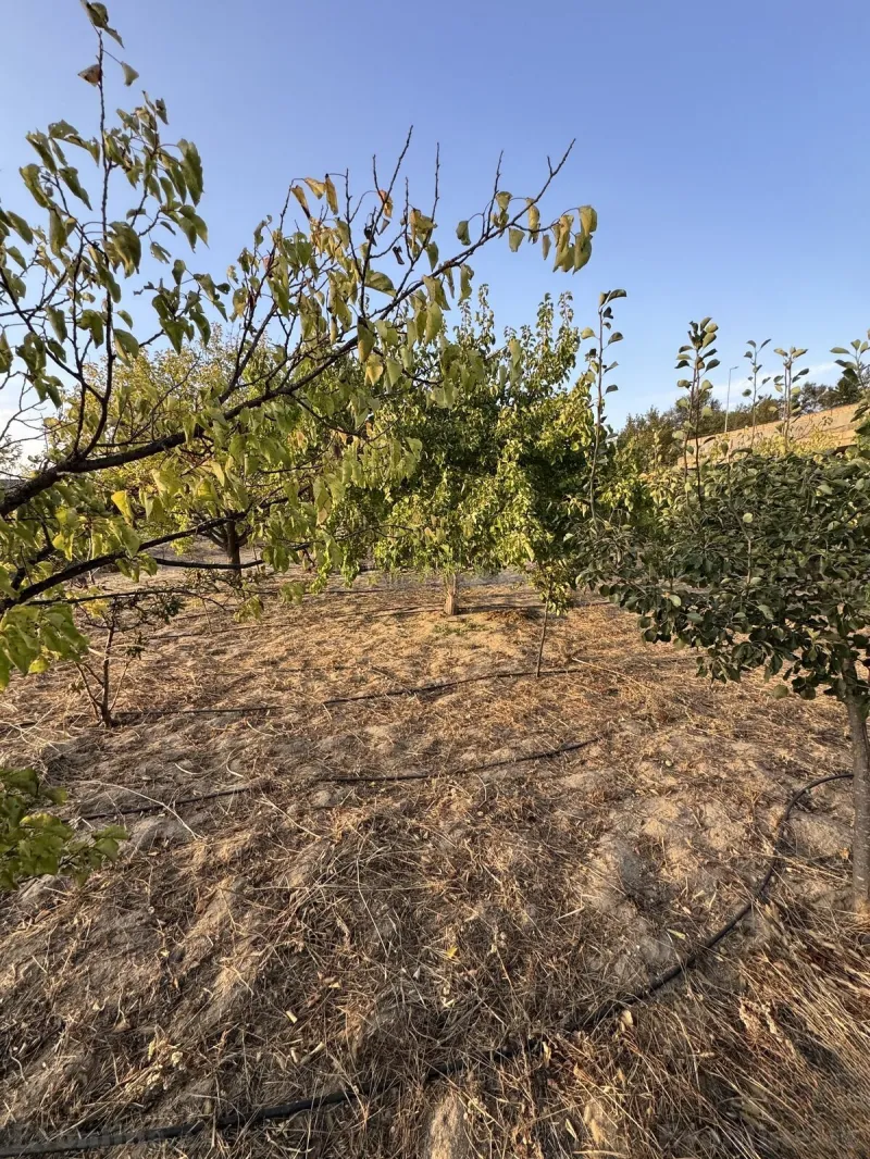 Satılır Torpaq 3 sot Bakı, Abşeron r., Novxanı — Torpaq, Bakı (5)