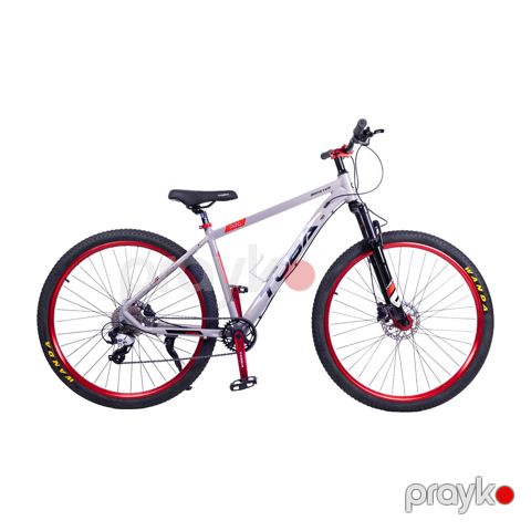 Dağ velosipedi Toba Monster 29 düym Açıq-boz — Bakı