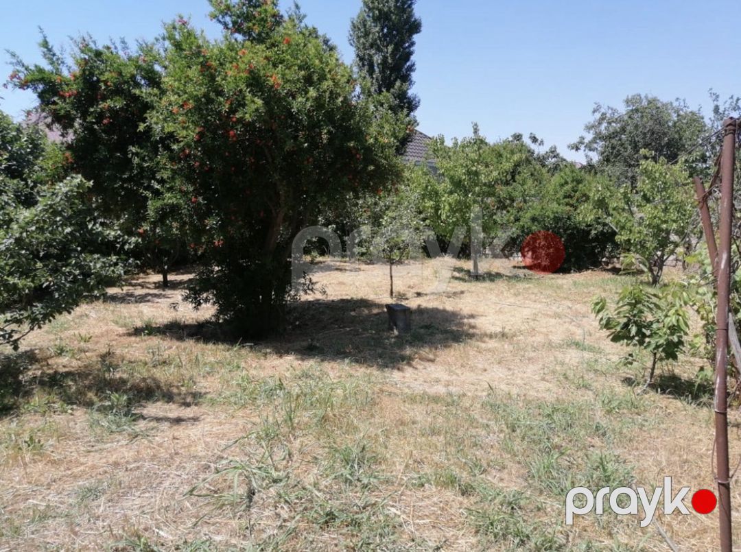 Satılır torpaq 8 sot — Torpaq, Bakı (3)