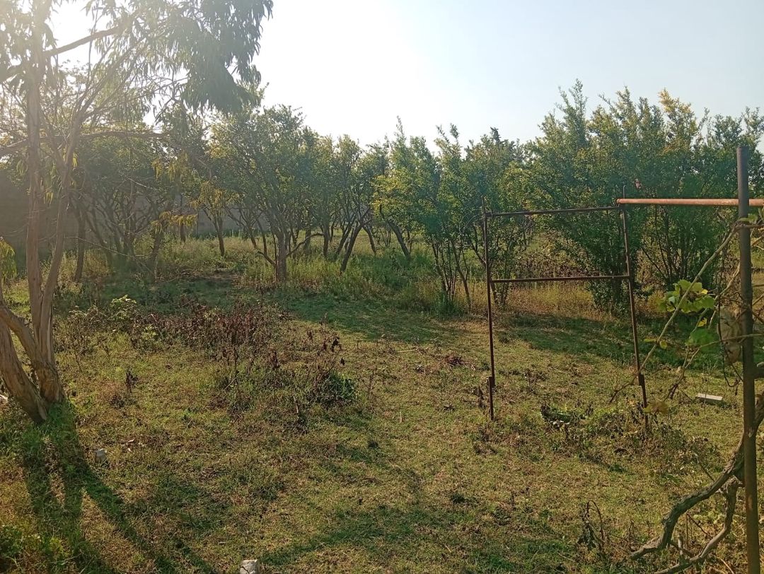 Satış: Torpaq, 21 sot, Sabunçu rayonu — Torpaq, Bakı