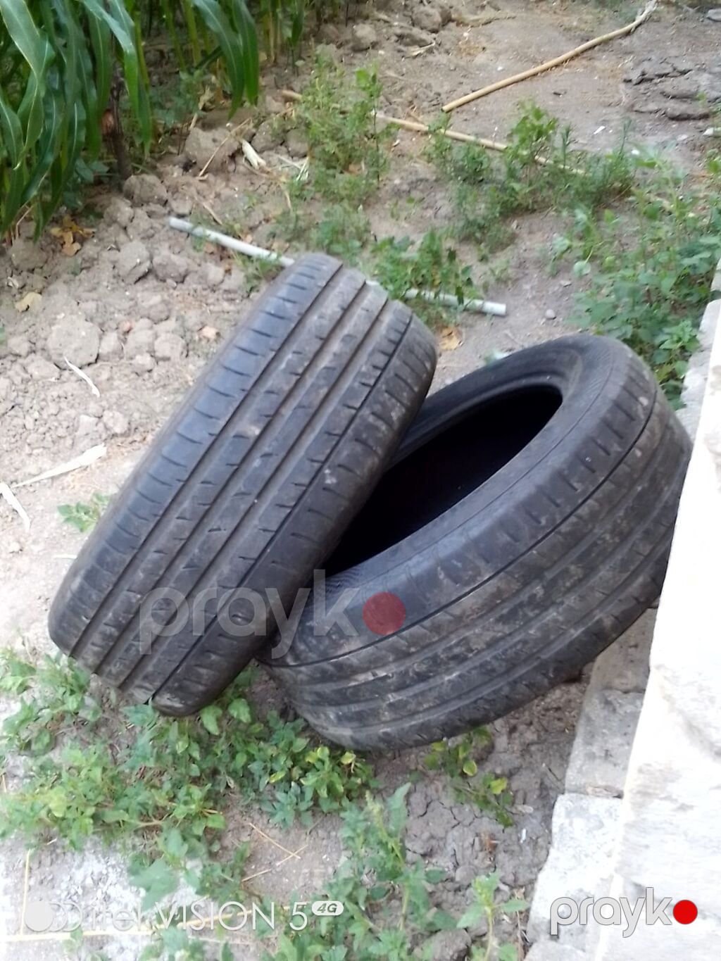 İşlənmiş Şin Continental 245 / 50 / R 18 — Şinlər, Şirvan (3)