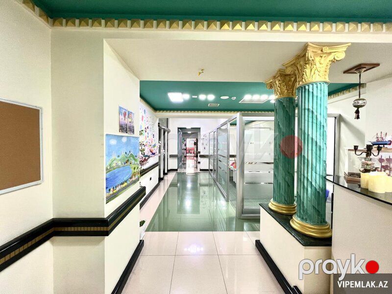 Nəsimi rayonunda 5 otaqlı Obyekt Satılır, 240 m² — Əmlak, Bakı (4)