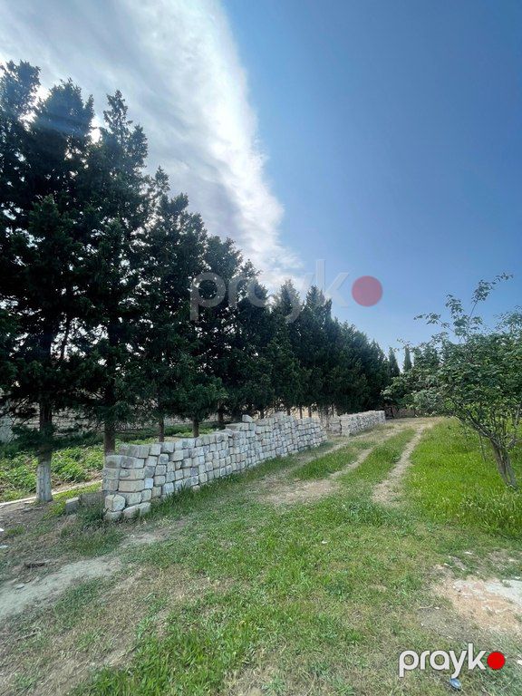 12 sot torpaq sahəsi, Novxanı qəs — Torpaq, Bakı (2)