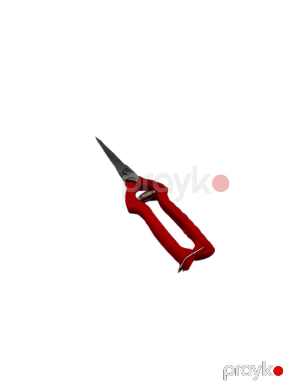 Bağban qayçısı İL - 3703, 19 sm — Mallar, Bakı (2)