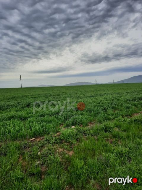 10000 sot torpaq sahəsi, Siyəzən r — Siyəzən