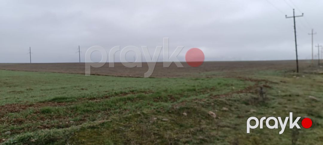 10000 sot torpaq sahəsi, Siyəzən r — Torpaq, Siyəzən (7)