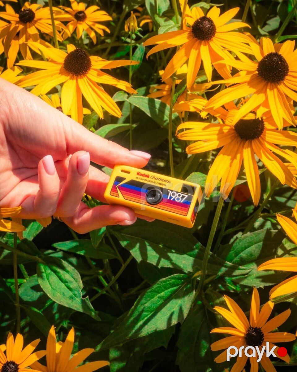Kodak Charmera — Foto və video texnikası, Bakı (4)