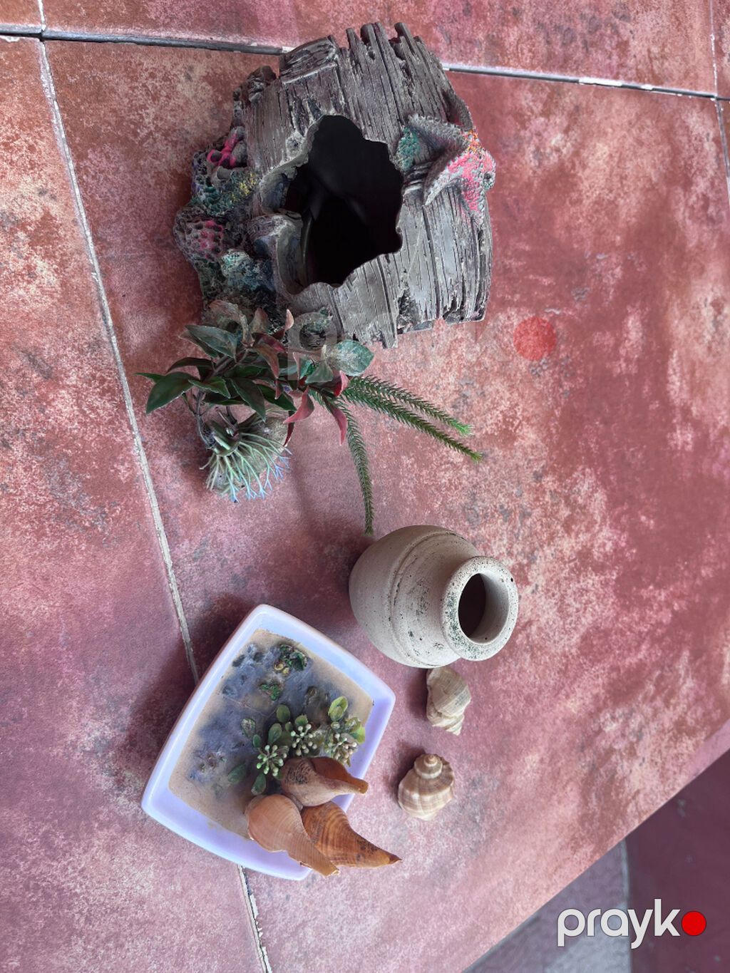 Hazır akvarium komplekti satılır\. Akvariumla birlikdə filtr — Akvariumlar və balıqlar, Bakı (5)