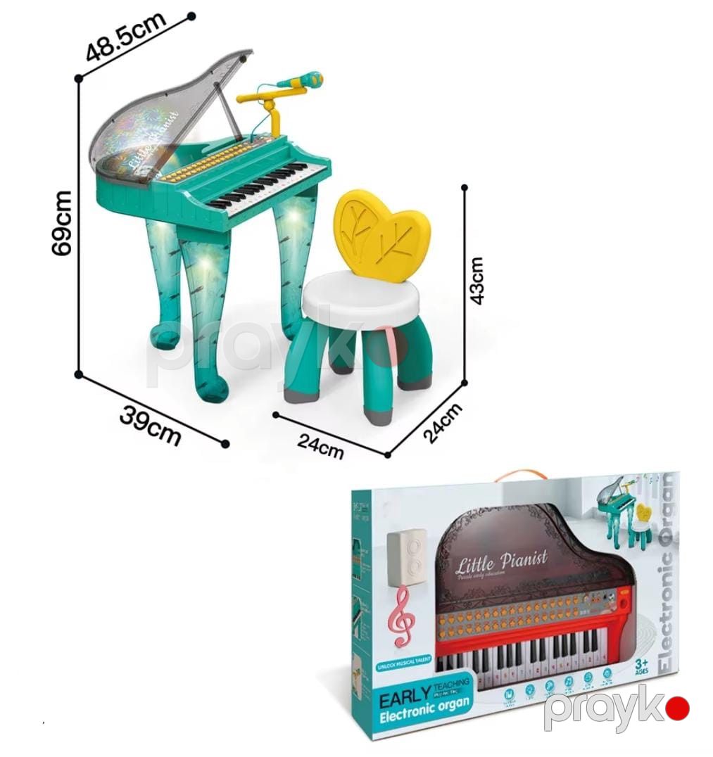 Pianino Little Pianist azr588 — Mallar, Bakı (2)