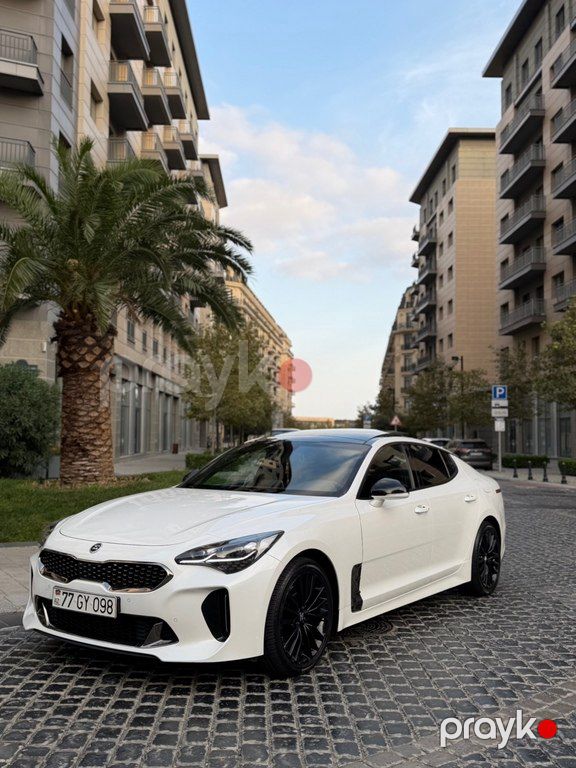 Kia Stinger, 2.2 L, 2019 il, 131 500 km — Avtomobillər, Bakı (3)
