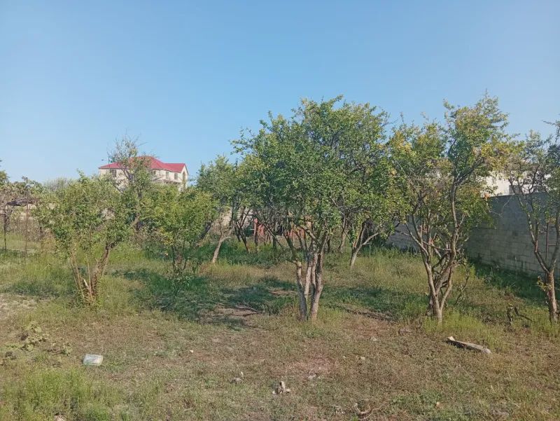 For sale: land, 21 sot — Torpaq, Bakı (5)