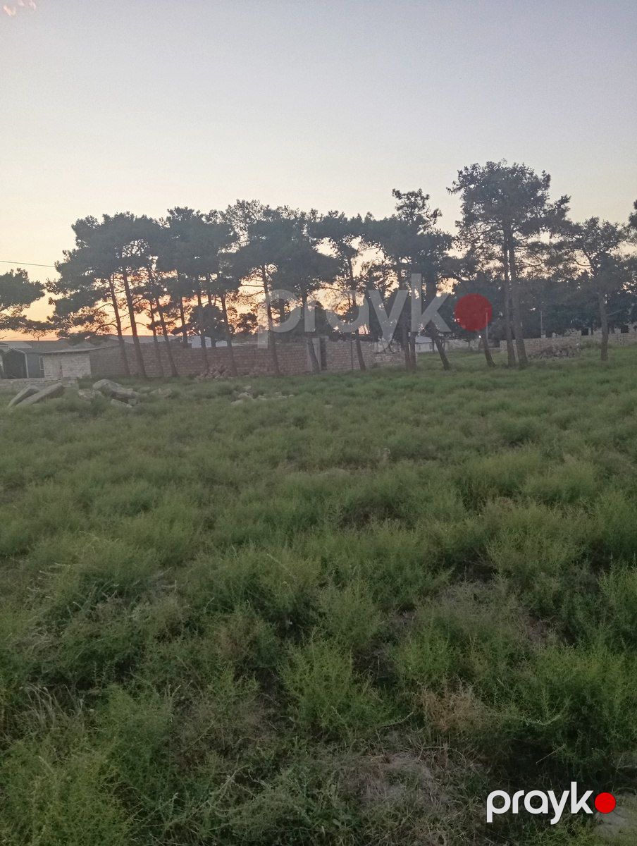 Satılır torpaq 5 sot — Torpaq, Bakı (2)